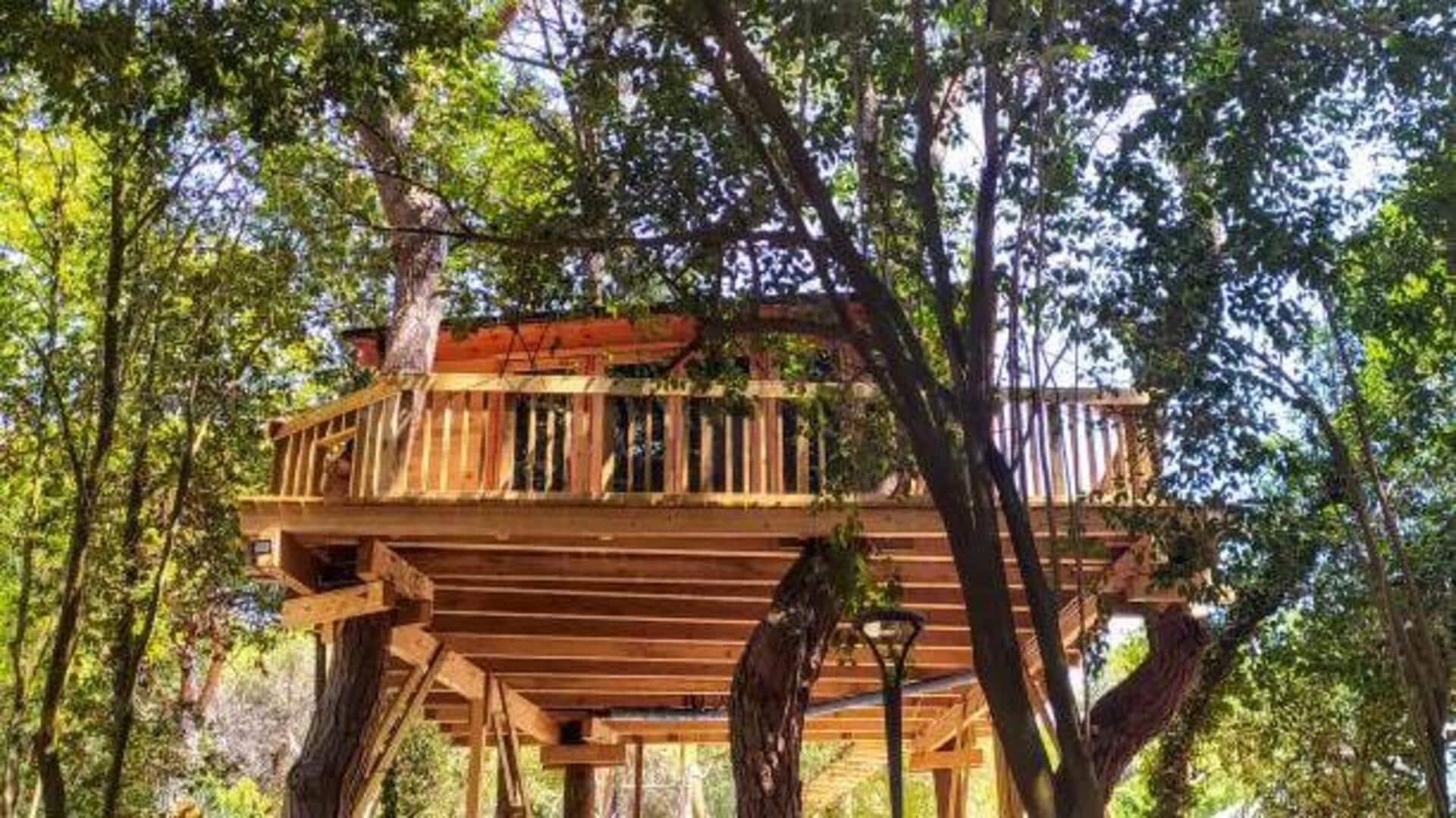 Top treehouse retreats for peaceful getaways Top treehouse retreats for peaceful getaways