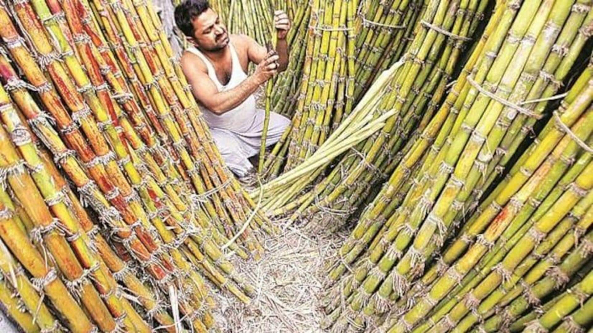 Sugar stocks jump up to 11%: Here's why