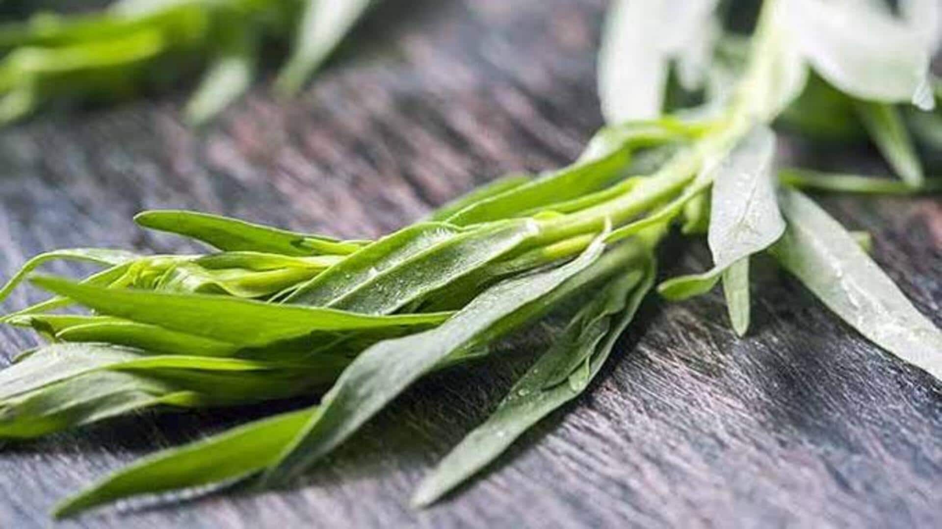 5 traditional dishes using tarragon herb