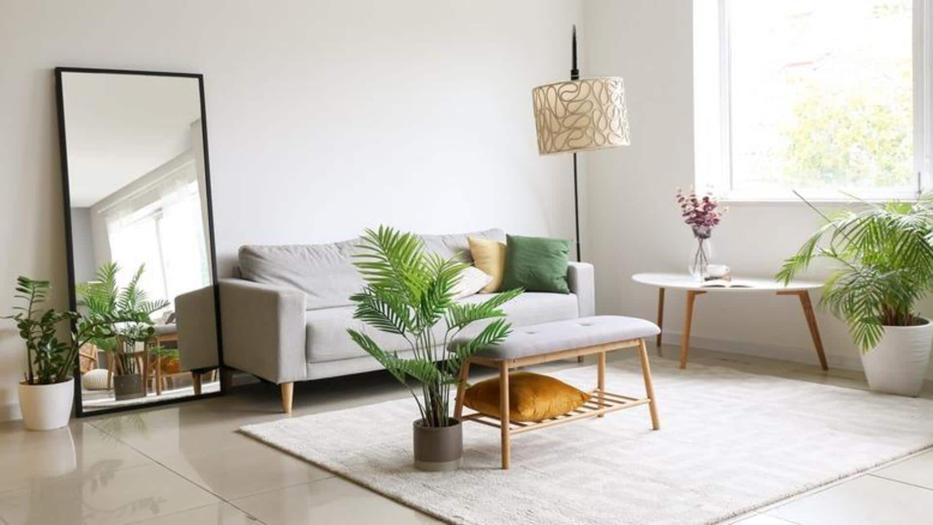 Why you should place mirrors near houseplants 