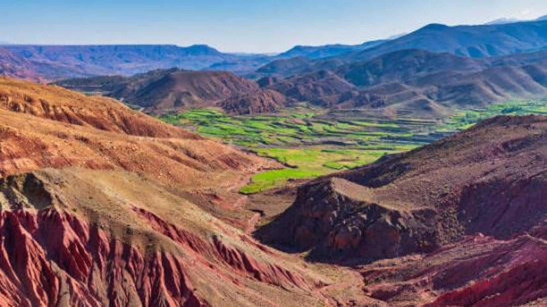 Atlas Mountains: A fascinating site for fossil exploration