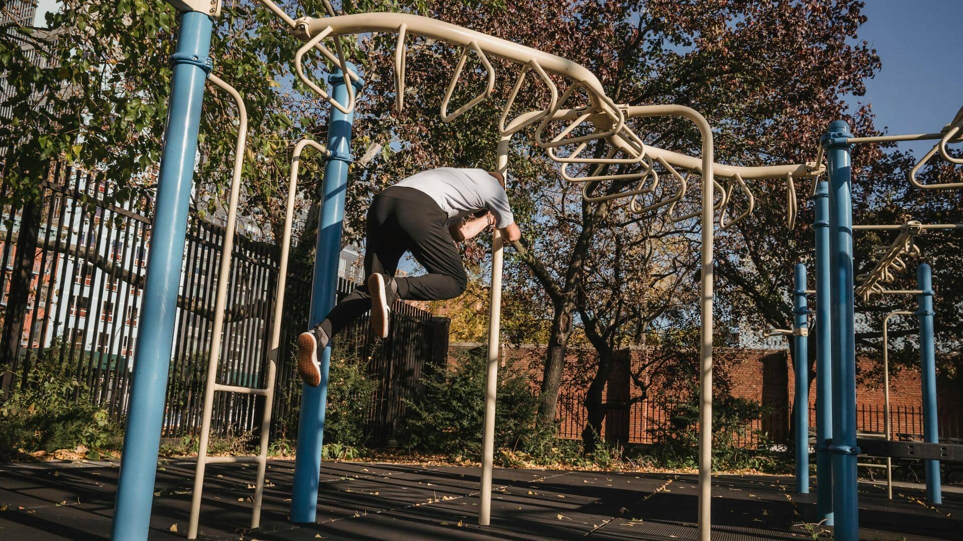 Easy jungle gym exercises for strength building