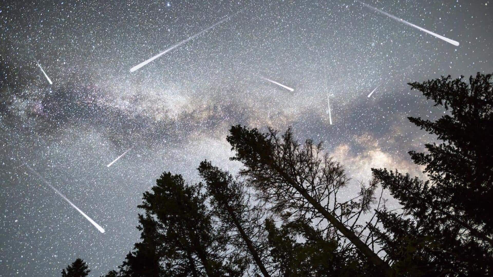 2025's last meteor shower peaks tonight: How to watch Ursids?