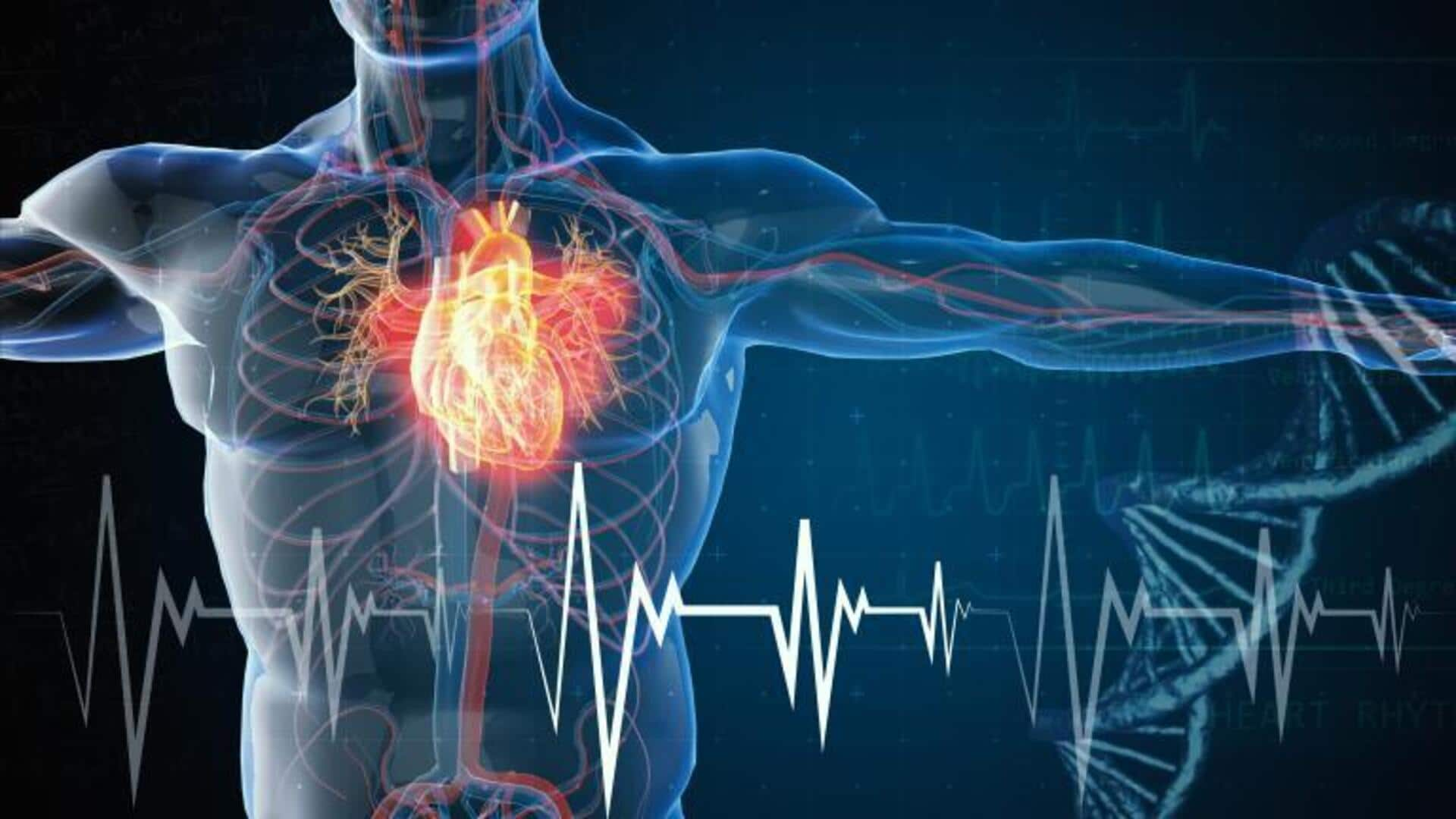 This AI tool predicts heart attacks a decade in advance