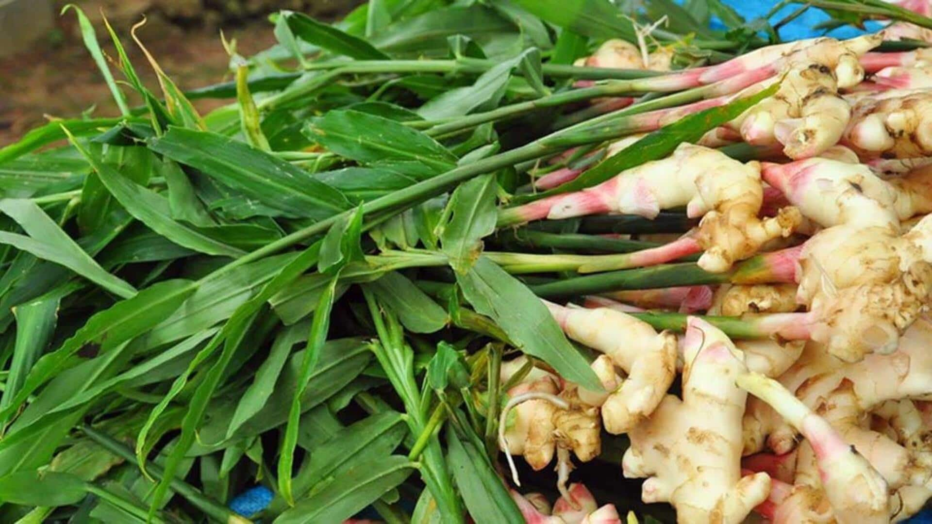 Propagating zesty ginger roots in water at home