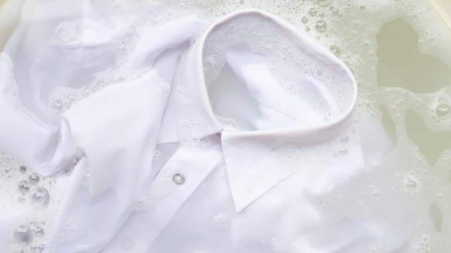 Shampoo is effective to get rid of collar stains Shampoo is effective to get rid of collar stains