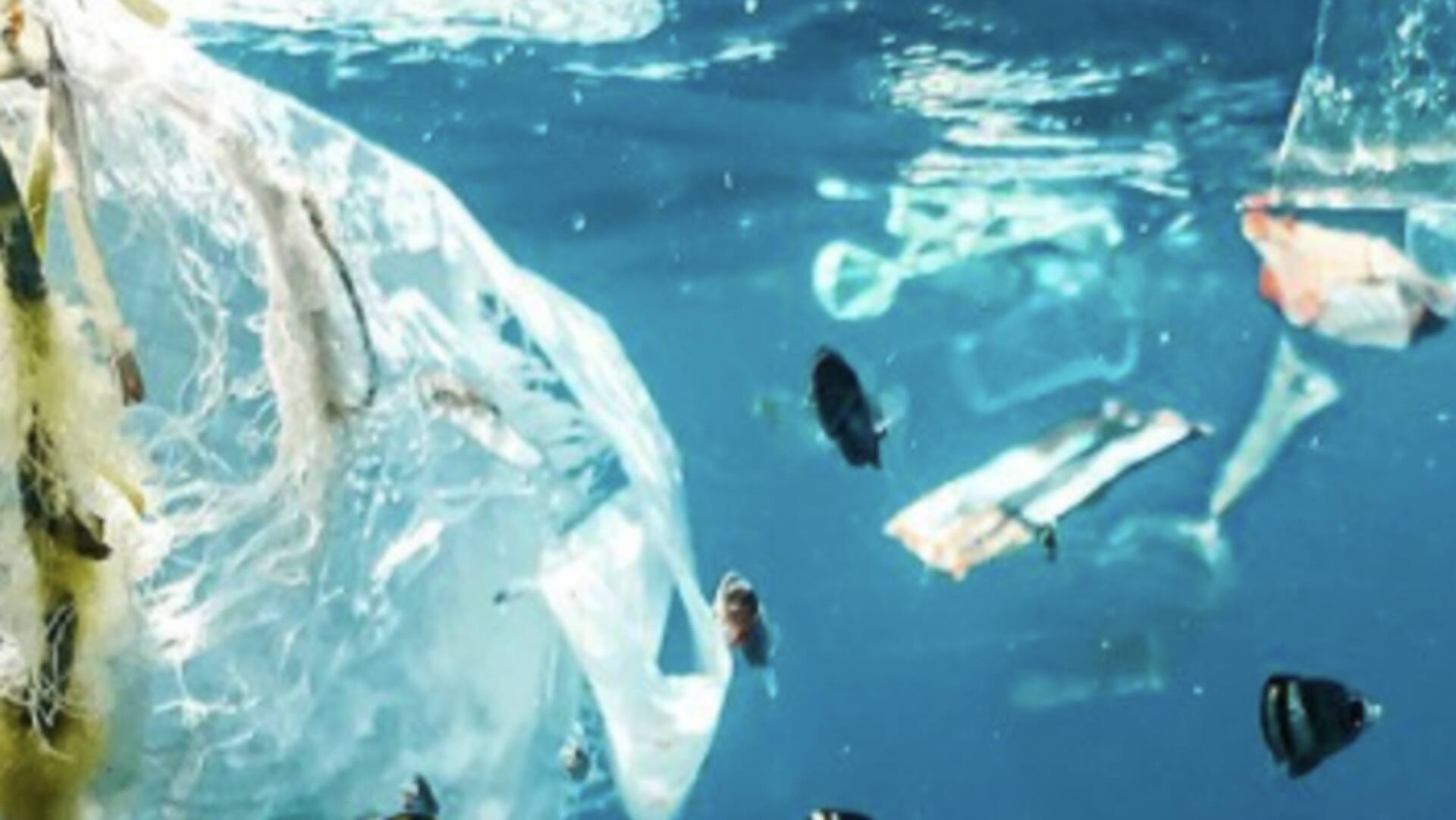 World Environment Day: How UN aims to combat plastic pollution