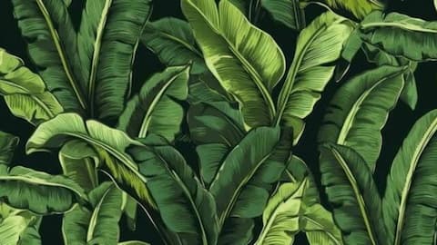 How to make beautiful wall art with banana leaves