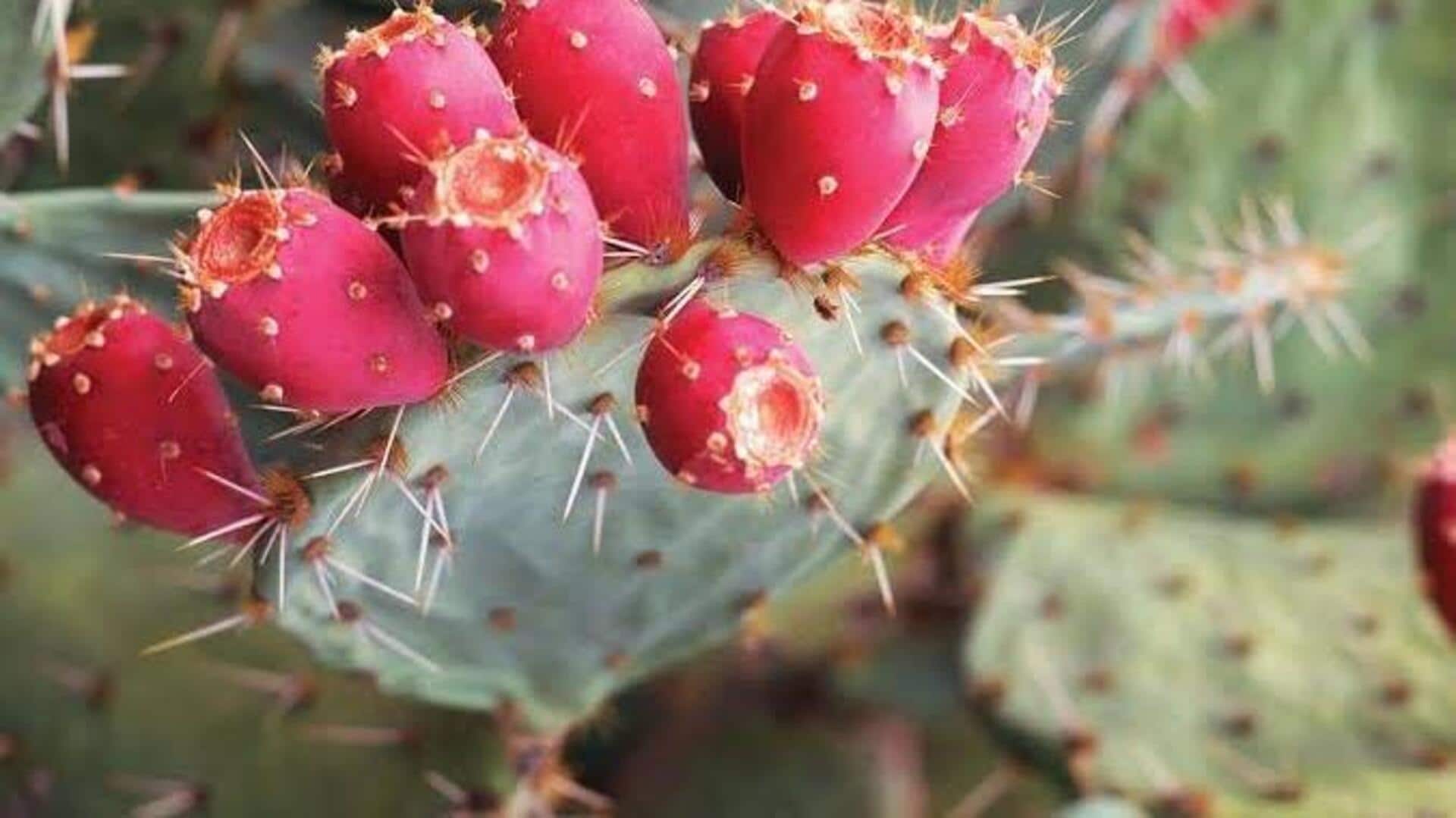 5 reasons to add prickly pear to your diet