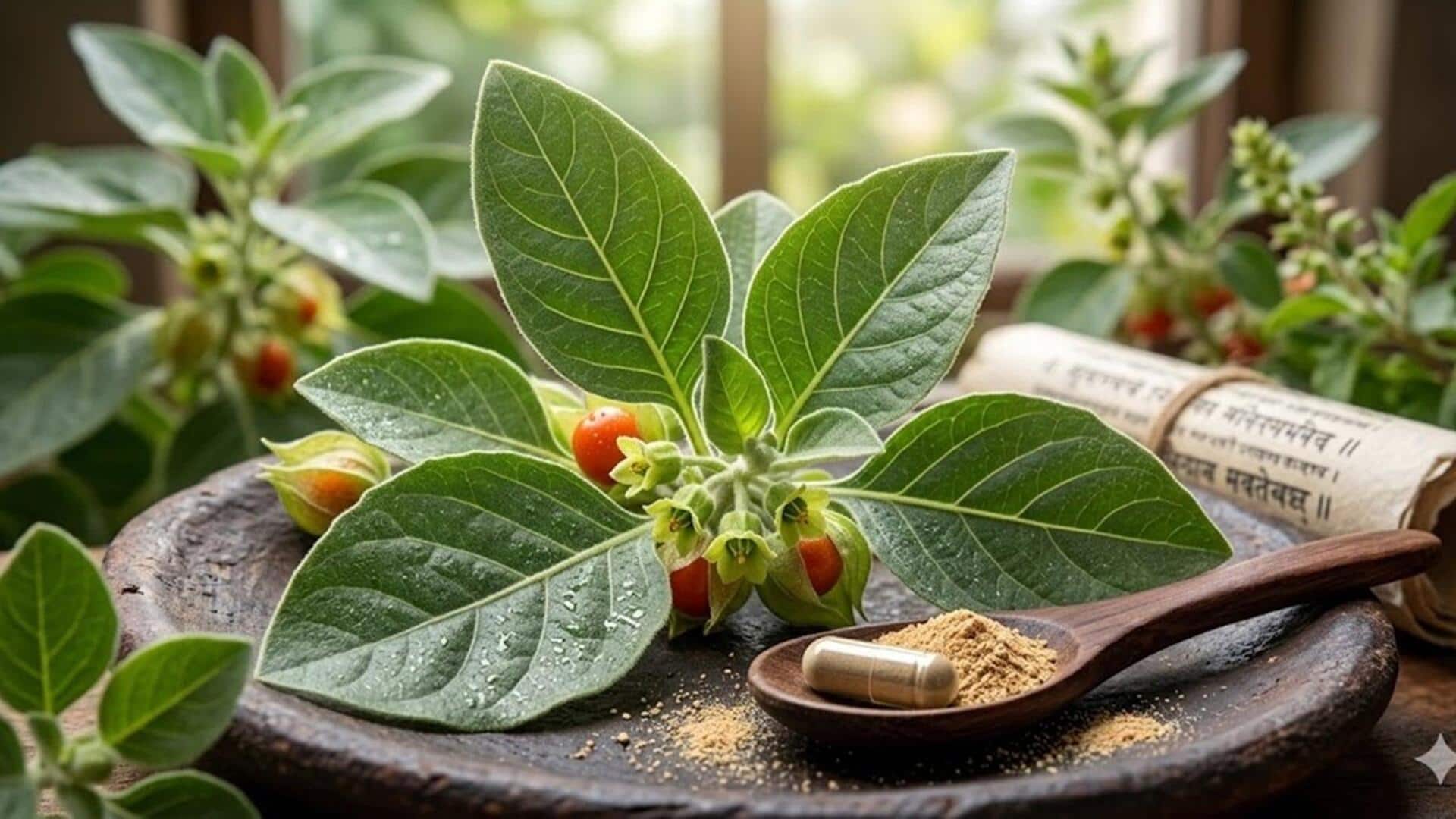 How to grow ashwagandha at home
