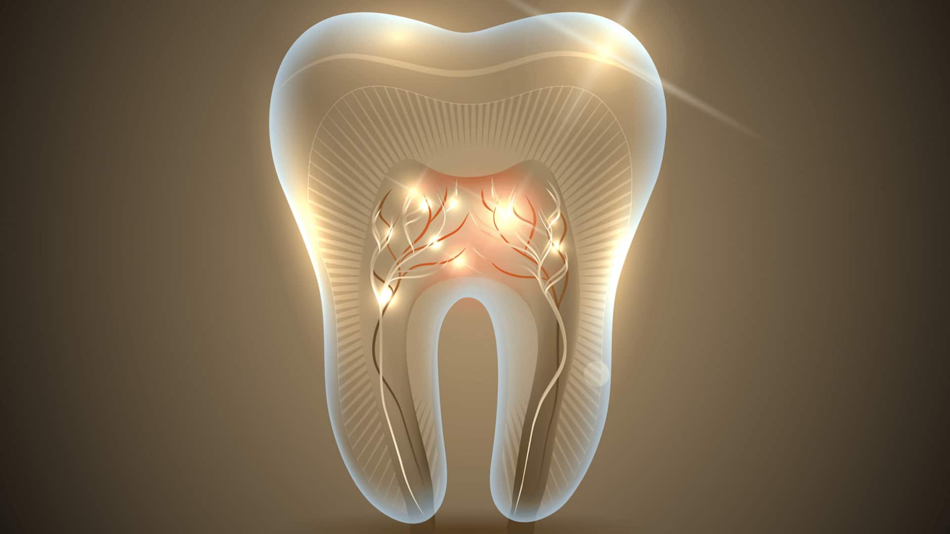 World's first tooth-regrowing drug approved for human trials
