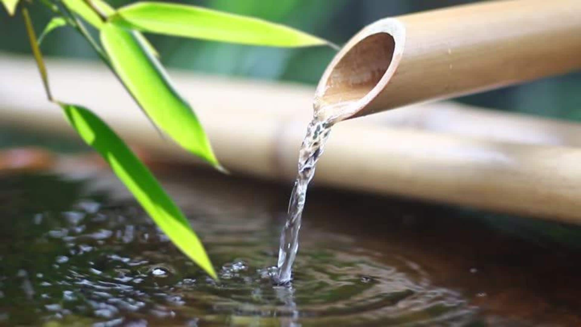 Rehydrating essence with bamboo water serenity