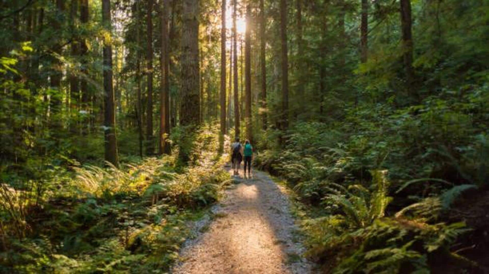 Destress and unwind with these nature walks Destress and unwind with these nature walks