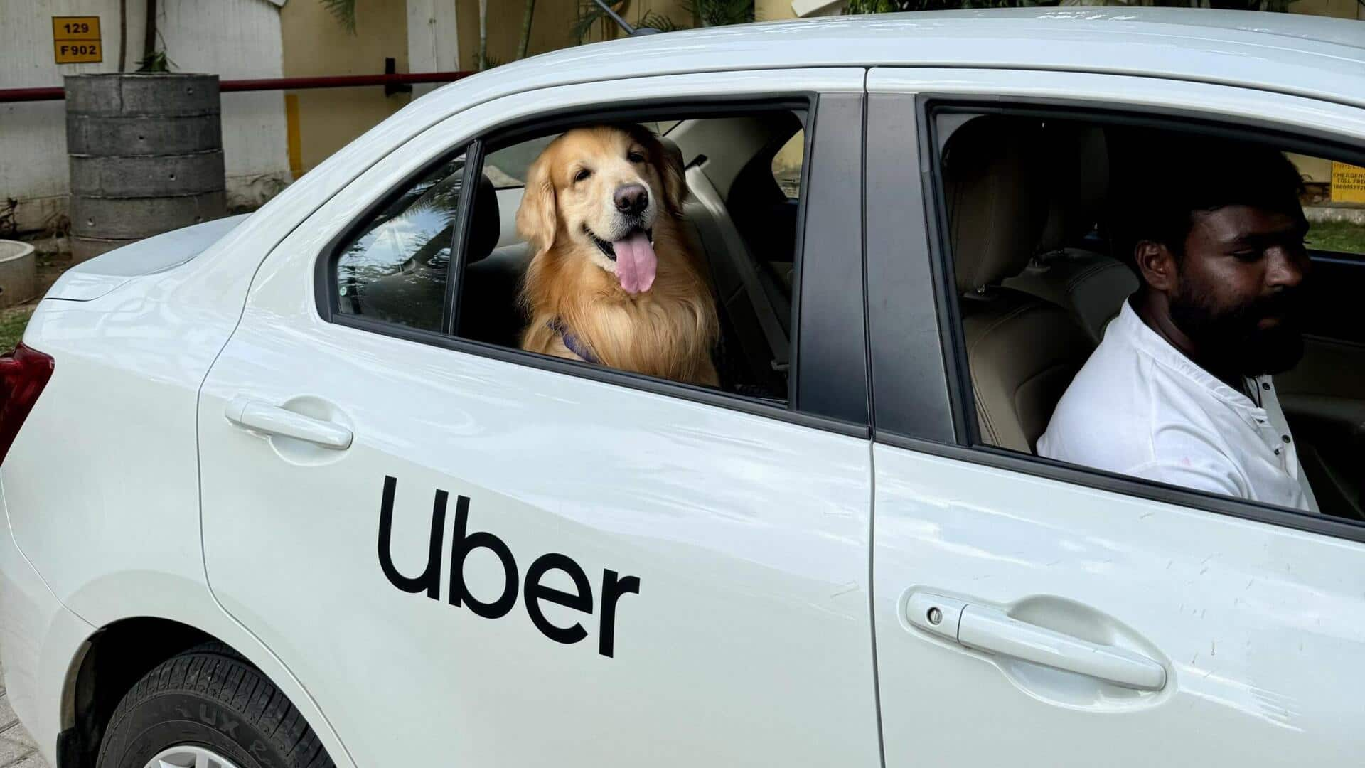 Uber Pet service launched in Mumbai, Delhi: What it offers