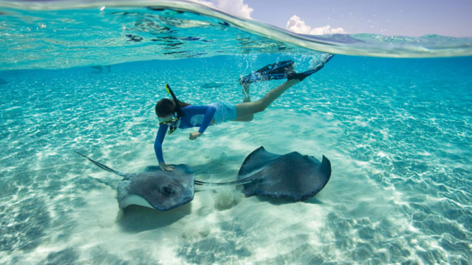 Swim with stingrays in the Cayman Islands' crystal waters