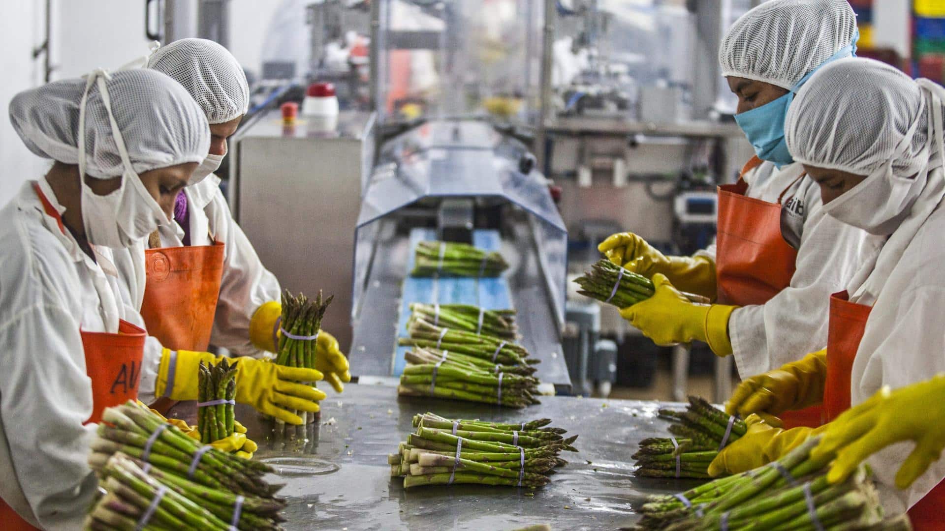 newsbytesapp.com - Pallabi Chatterjee - If you're in the food industry, keep reading