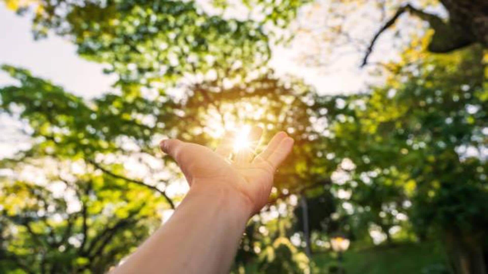 How to add sunlight breaks to your daily routine 