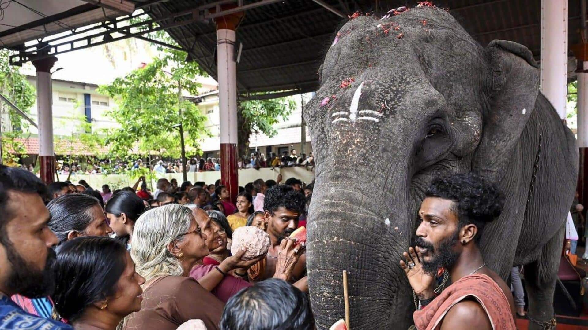 Elephant brought to temple for festival turns aggressive, kills mahout 