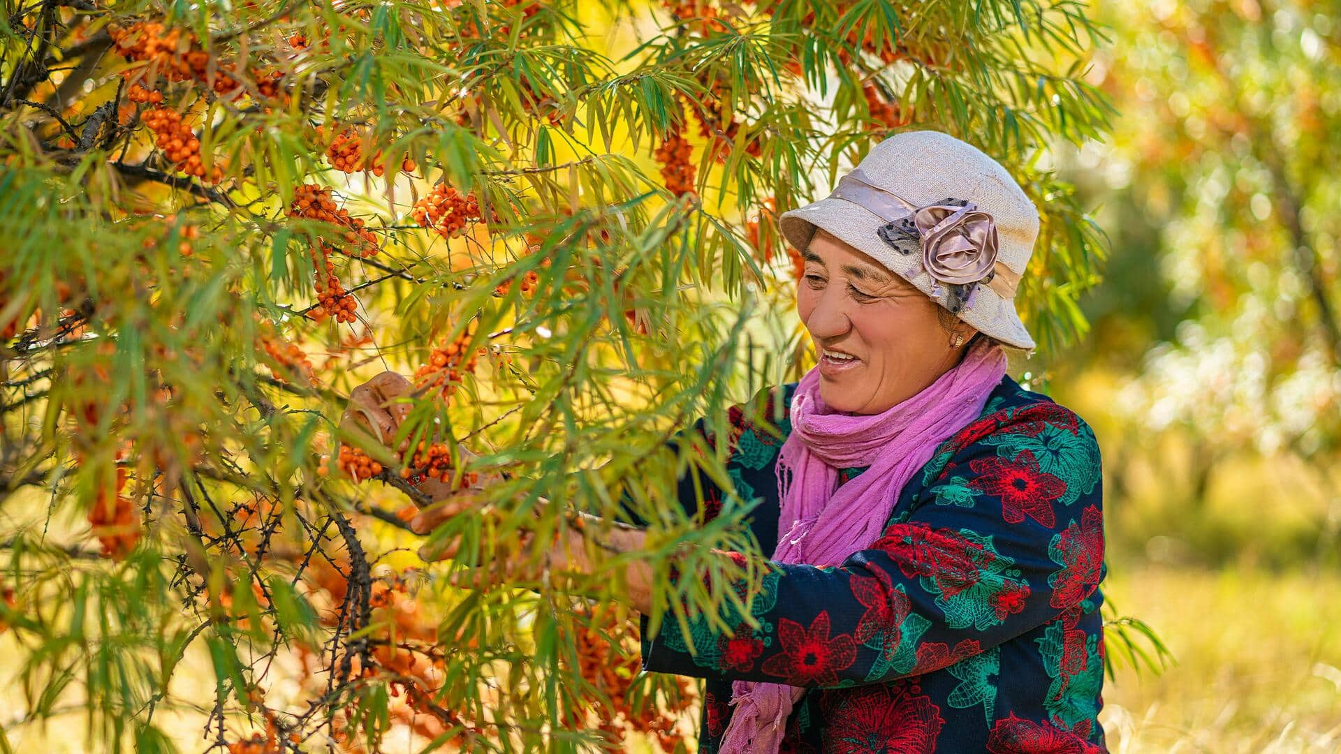 Why sea buckthorn is the superfood your body's been missing