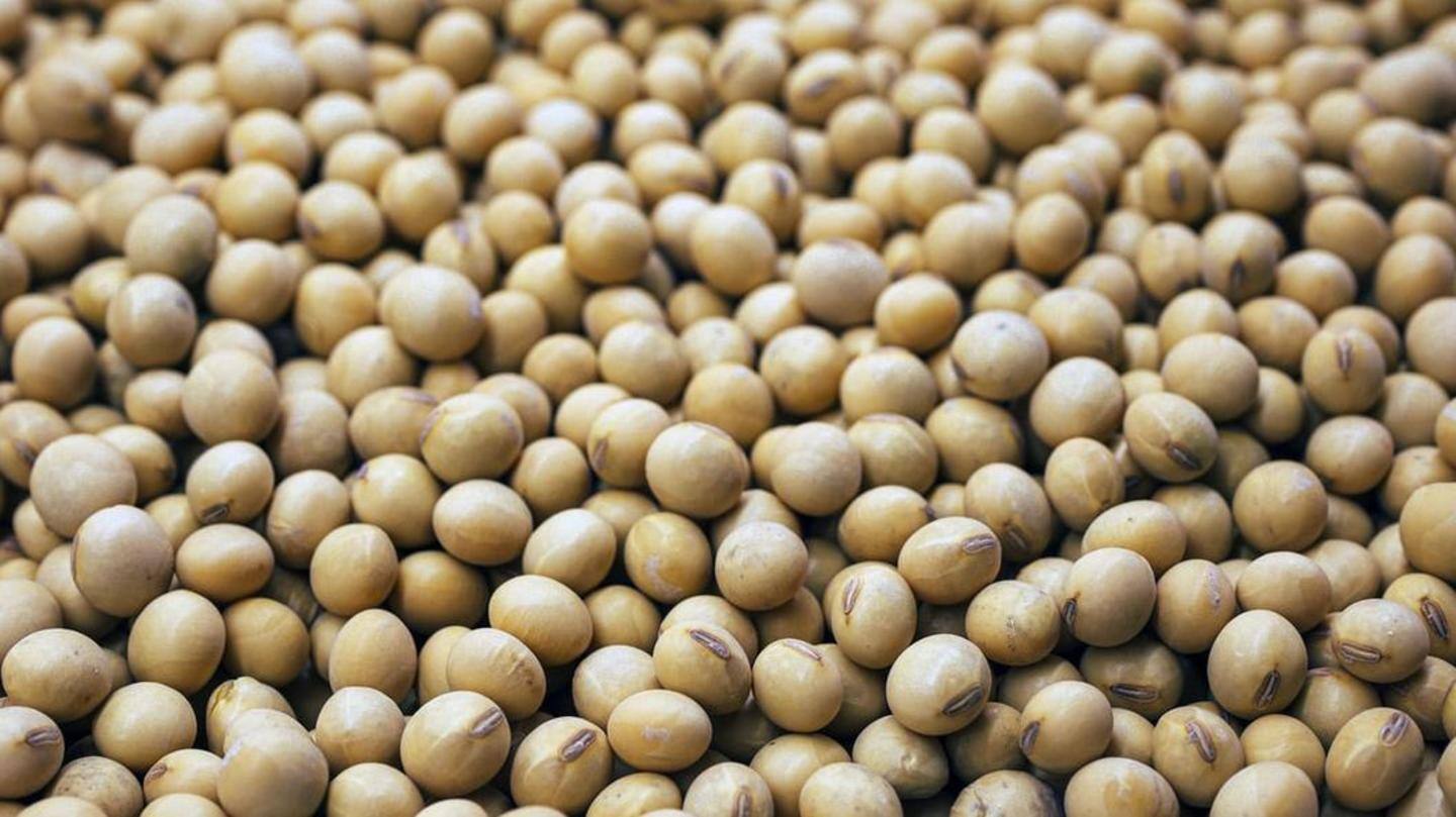 Soy flour Soy flour