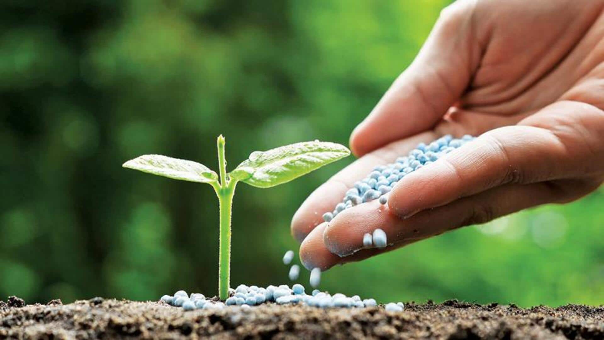 India develops first indigenous process for water-soluble fertilizer production India develops first indigenous process for water-soluble fertilizer production