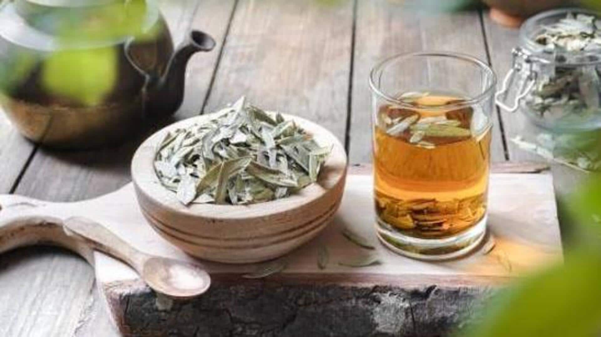 Senna leaves: A natural detox for your well-being