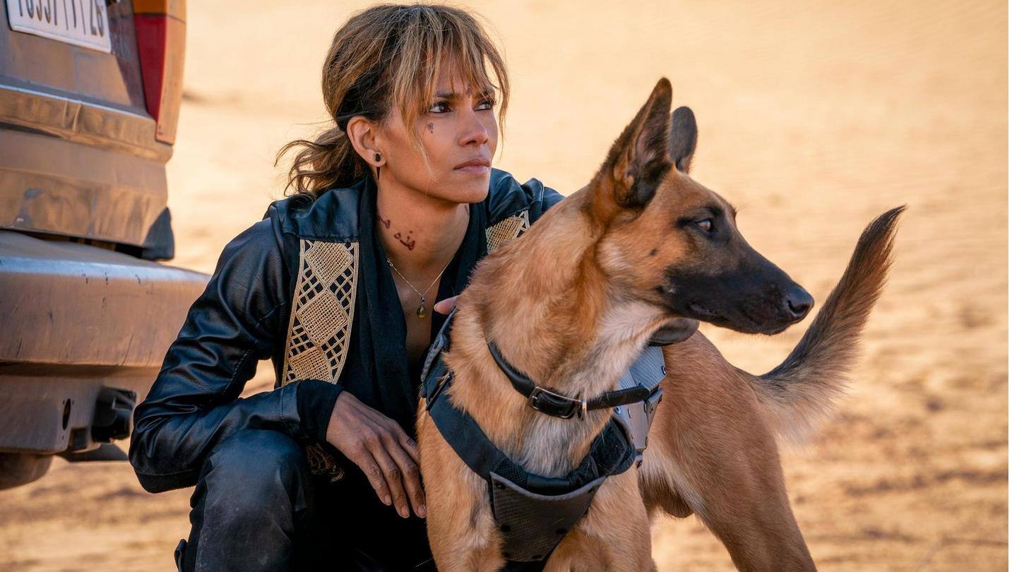 Did you know Berry had trained her character's dogs herself? Did you know Berry had trained her character's dogs herself?