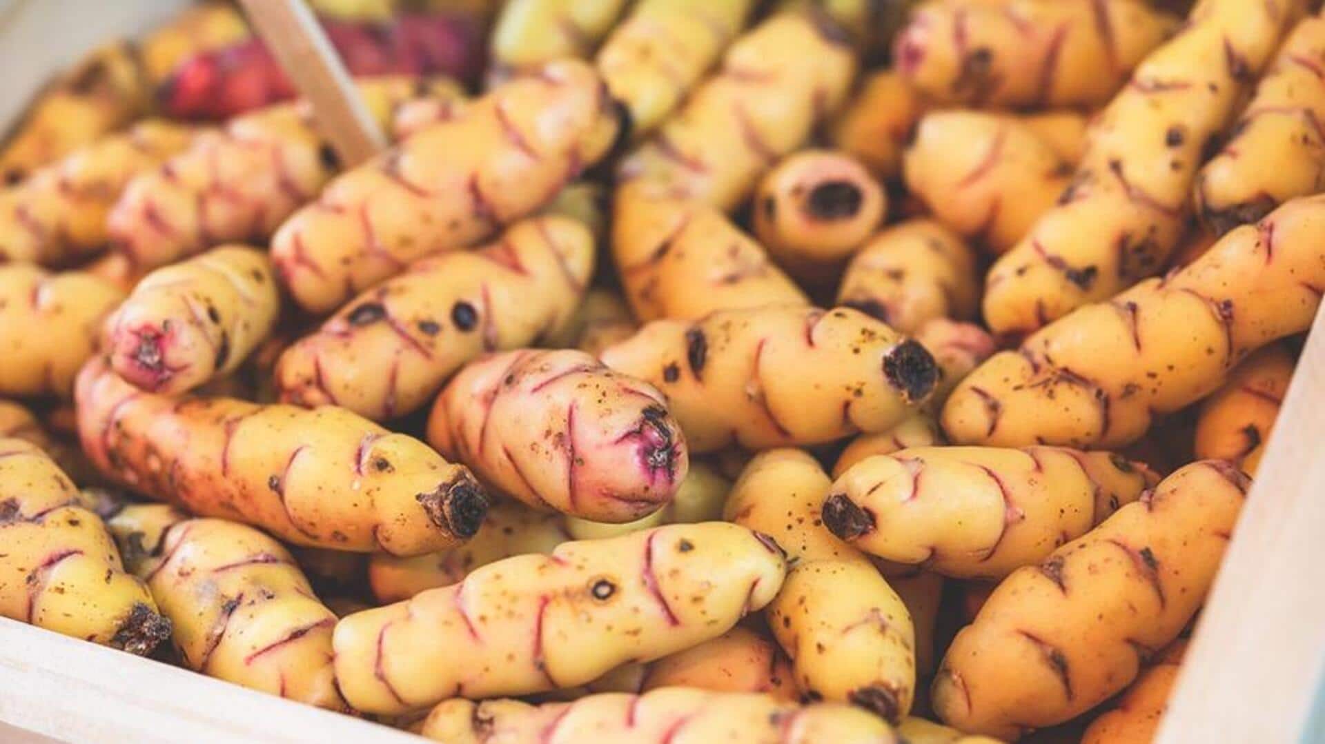 Ever heard of oca tubers? Know its health benefits Ever heard of oca tubers? Know its health benefits