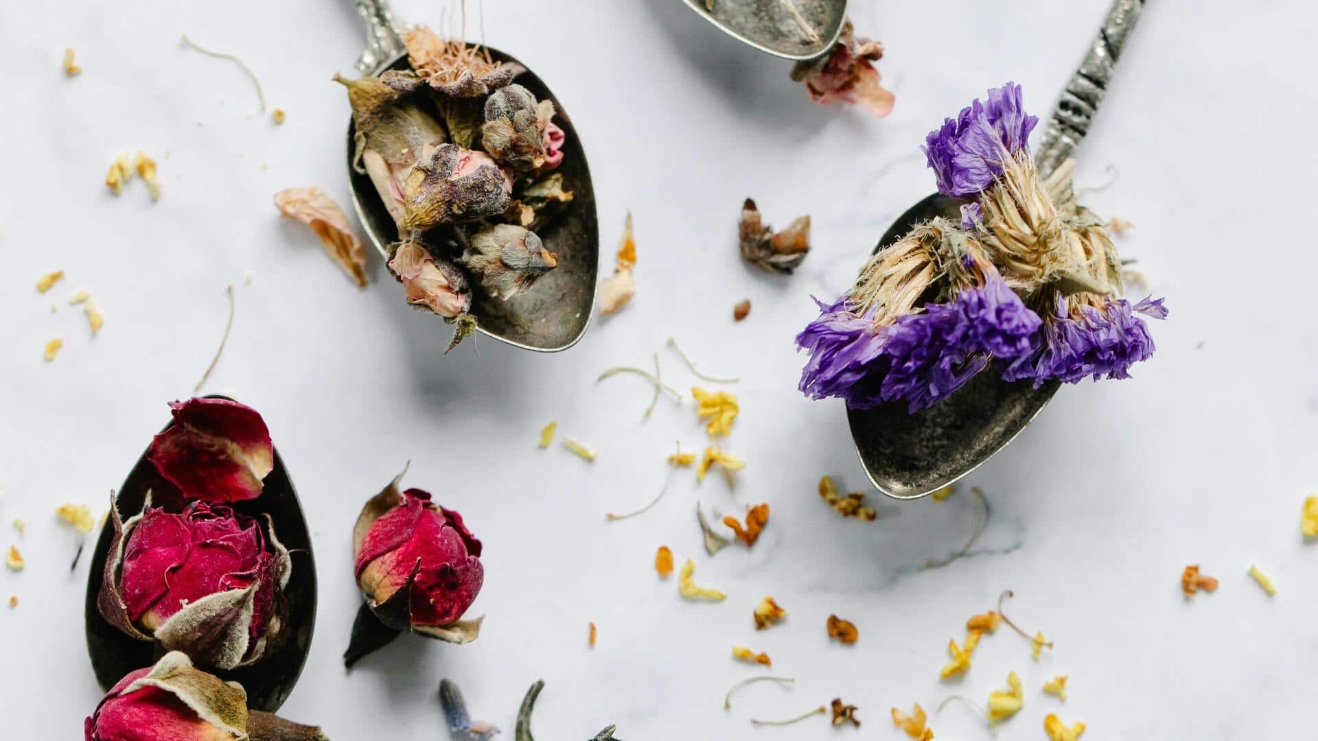 How to discover the magic of herbal teas