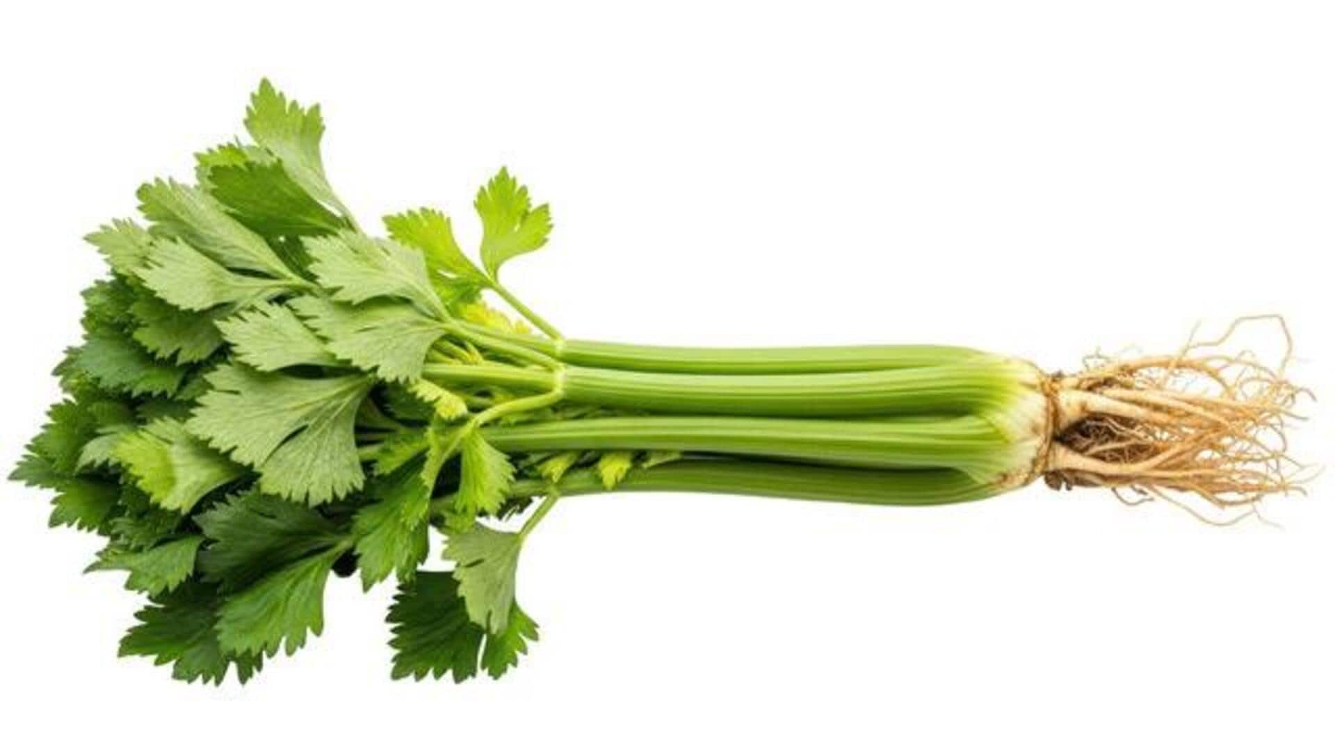 5 uses of wild celery