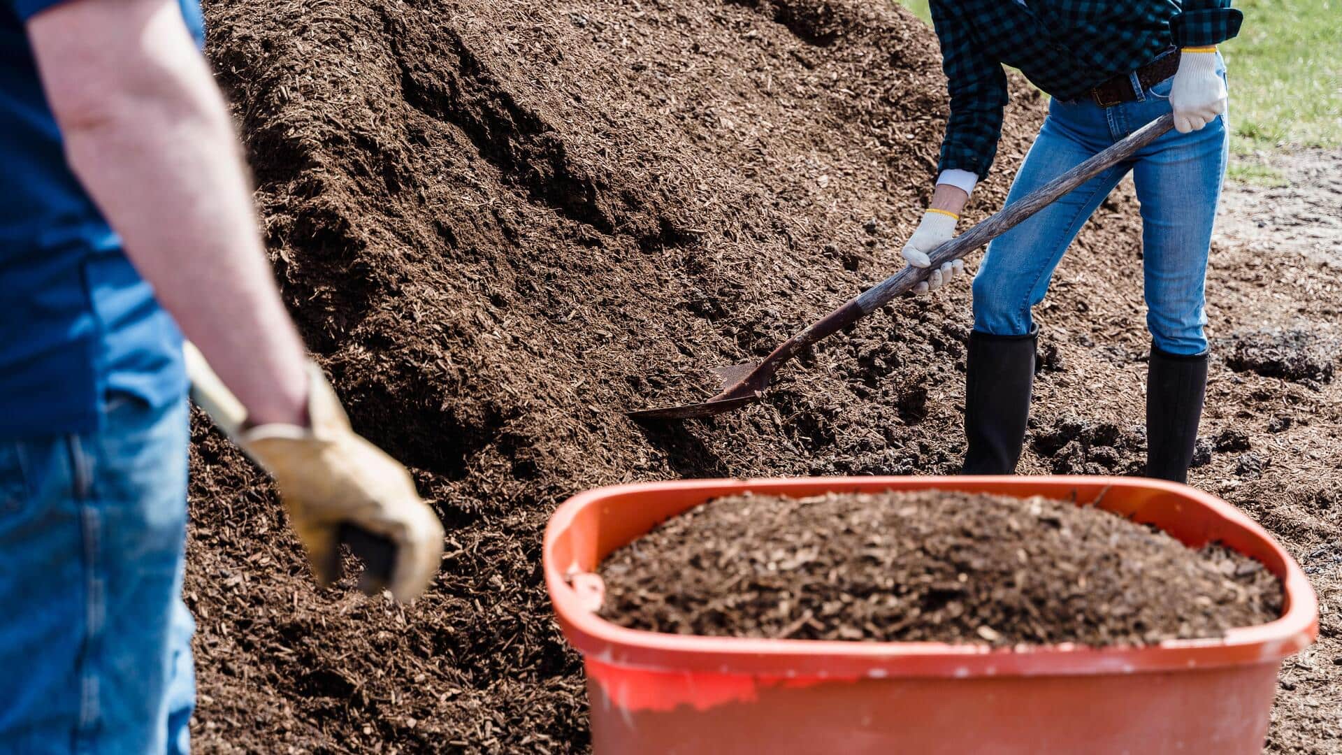 5 tips for a successful compost workshop