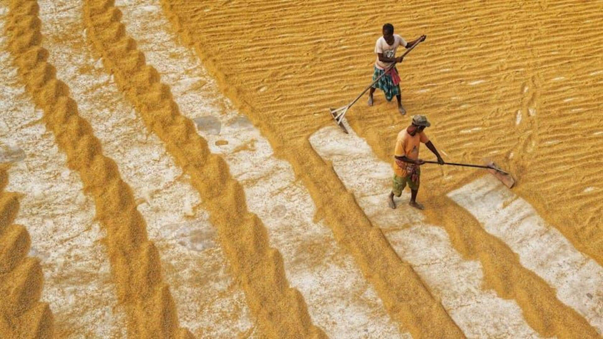 How Indian farmers are turning crops into instant cash 