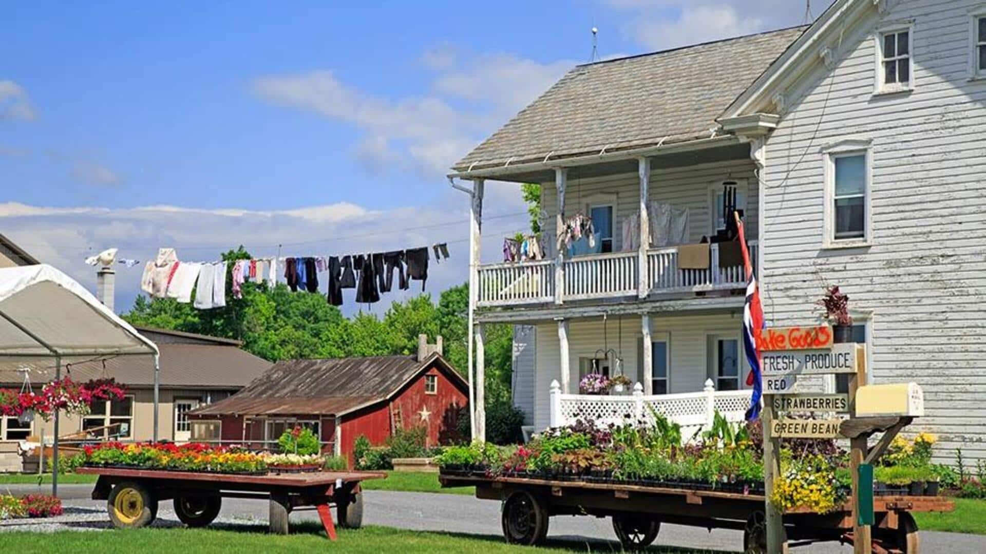 Explore these hidden gems along the Amish country roads Explore these hidden gems along the Amish country roads