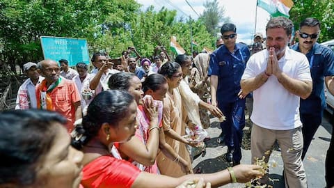 'Modi will cut 1.5cr trees': Rahul Gandhi protests Nicobar project 