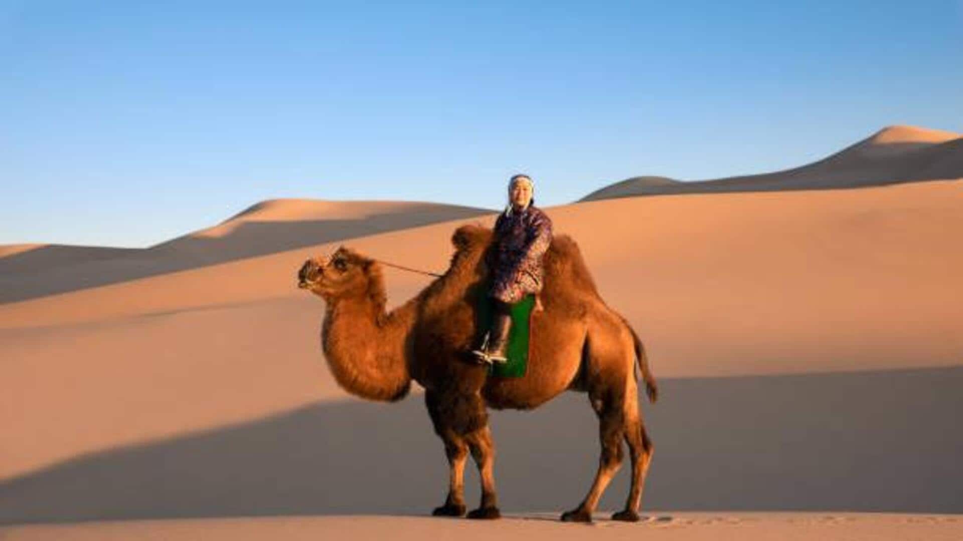 Camelback ride: A unique way to explore Mongolia Camelback ride: A unique way to explore Mongolia