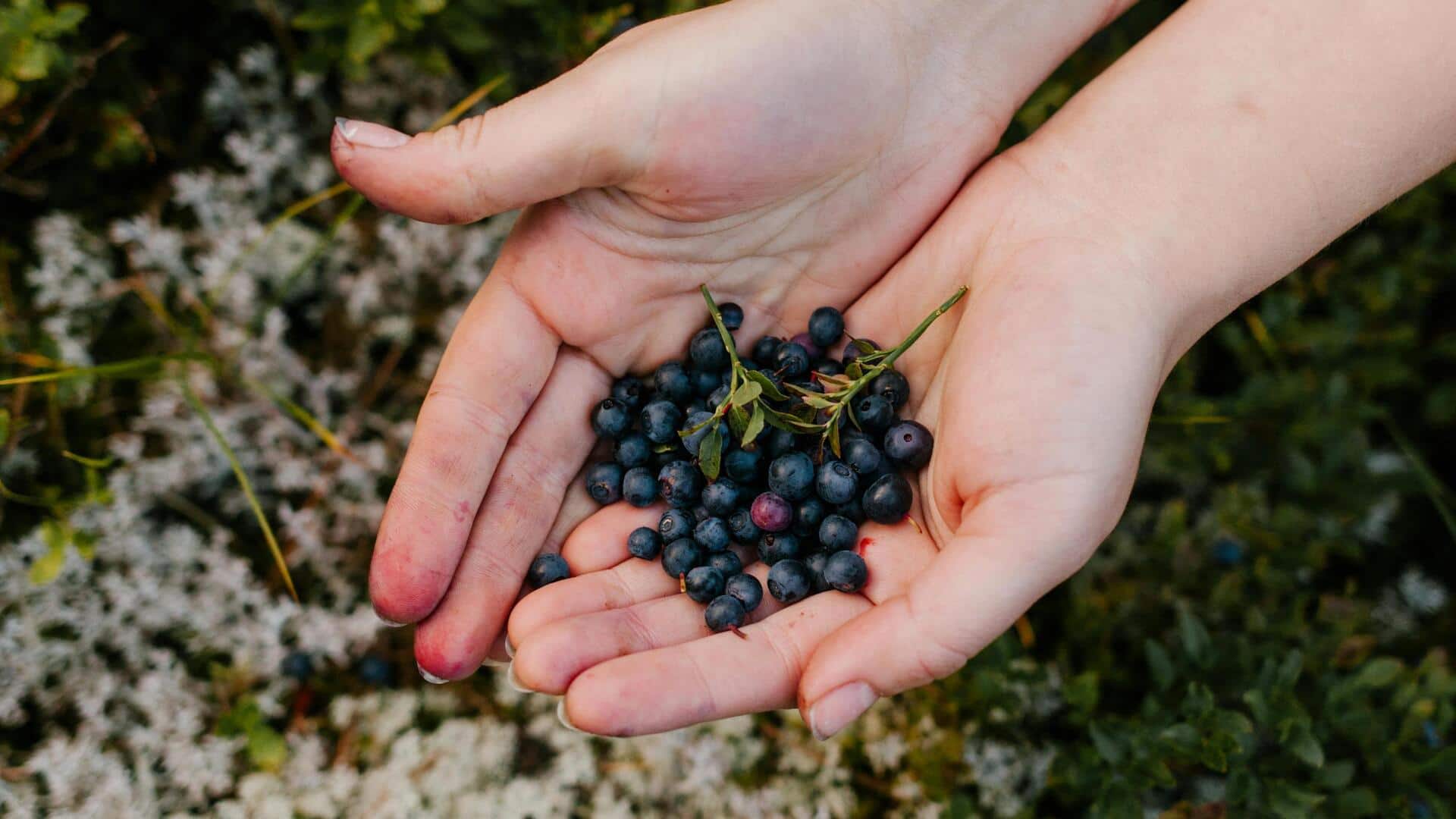 Eat this berry for better night vision