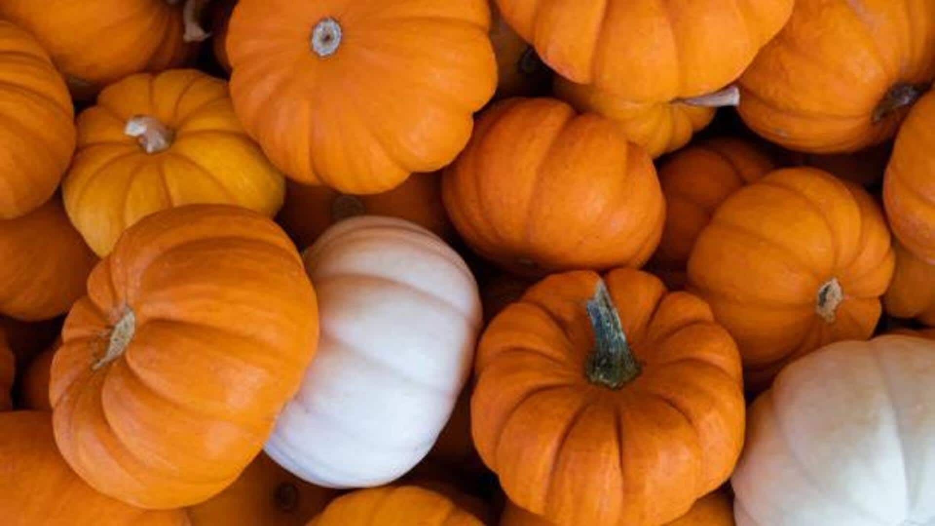 Cucurbits: Hidden gems for vegetarians Cucurbits: Hidden gems for vegetarians