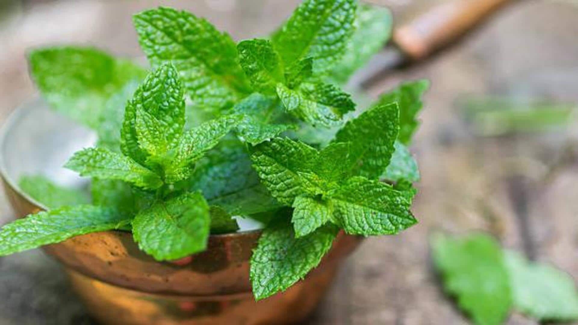 5 recipes featuring peppermint extract 5 recipes featuring peppermint extract