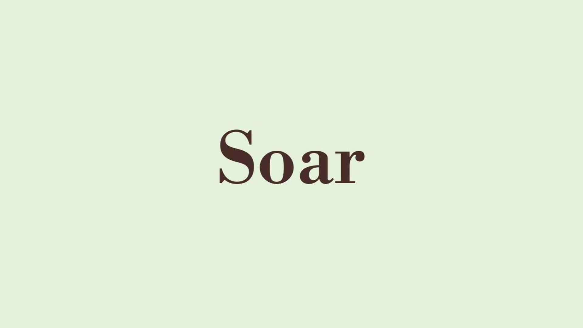 Word of the Day: Soar Word of the Day: Soar