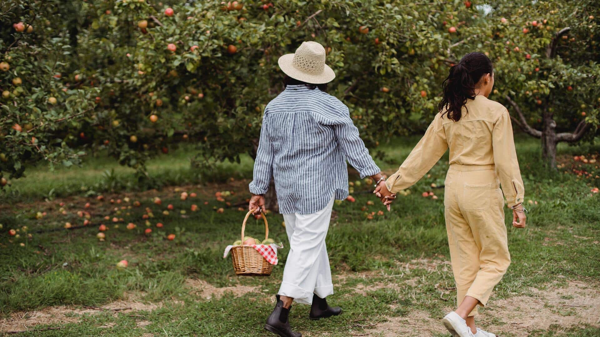Orchard walking: A natural way to boost wellness