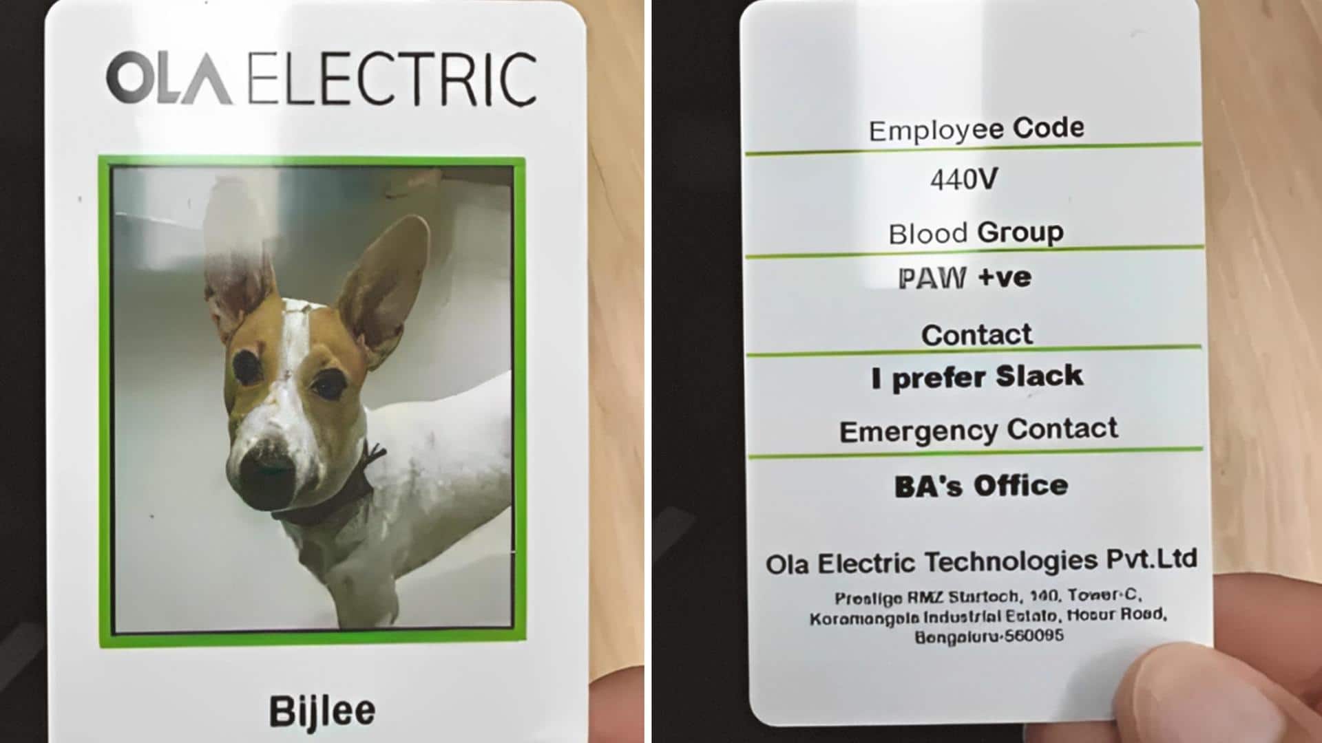 Meet Bijlee, Ola Electric's new pet employee