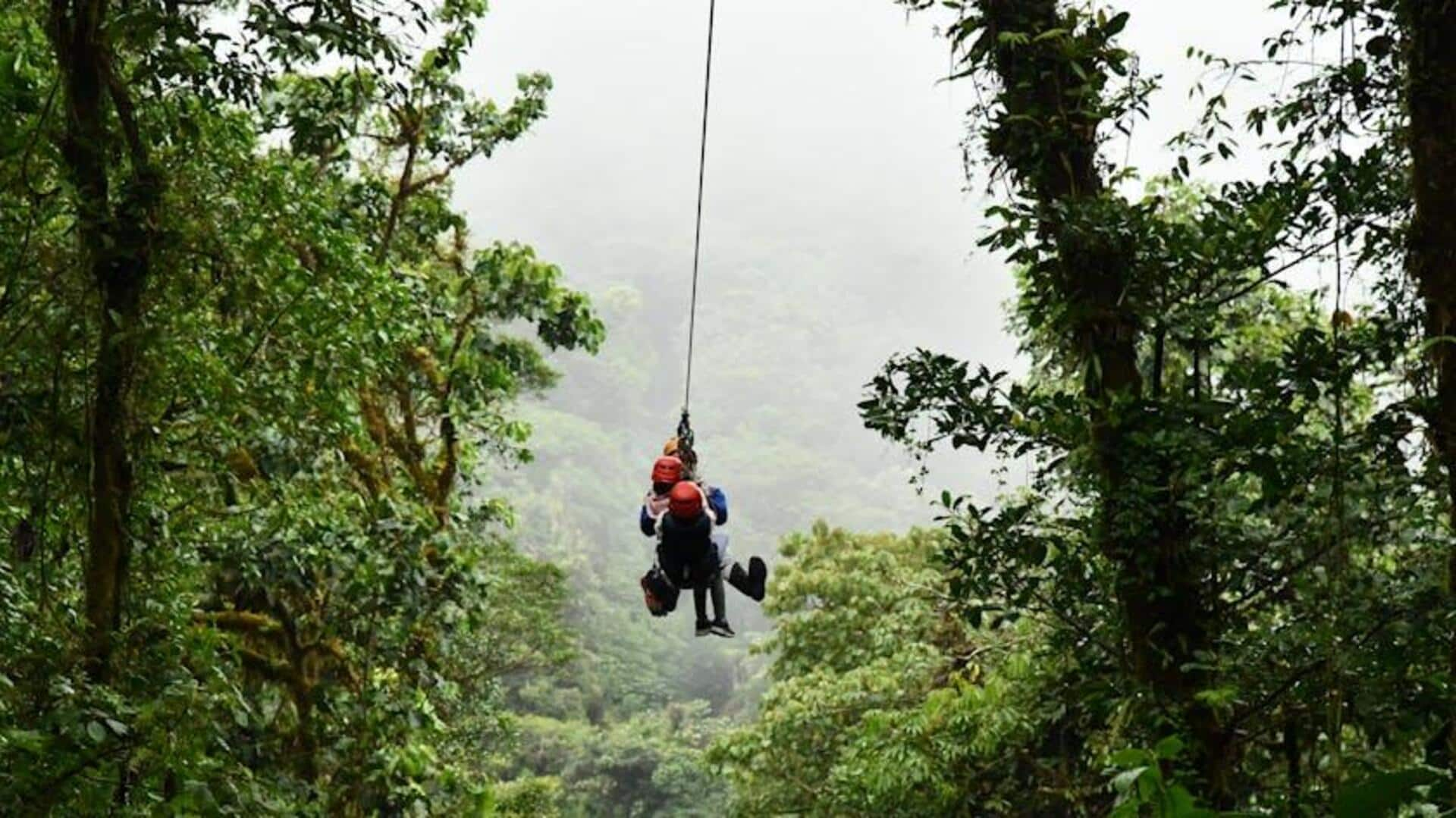 Treetop obstacle courses: Forest aerial adventures