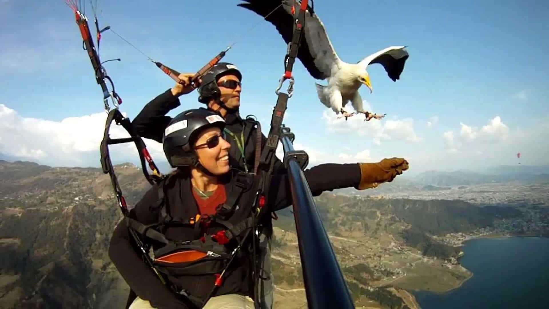 Parahawking in the Himalayas: A beginner's ultimate guide 