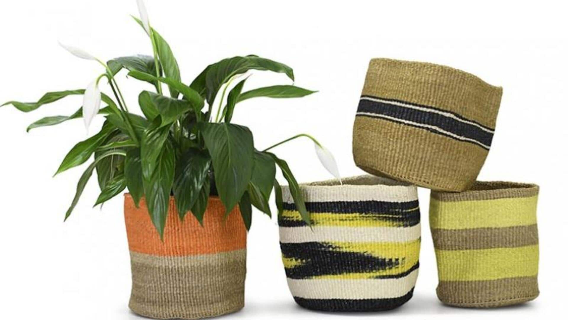 DIY: How to make Zulu-style planters at home