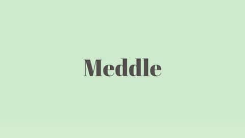 Word of the Day: Meddle