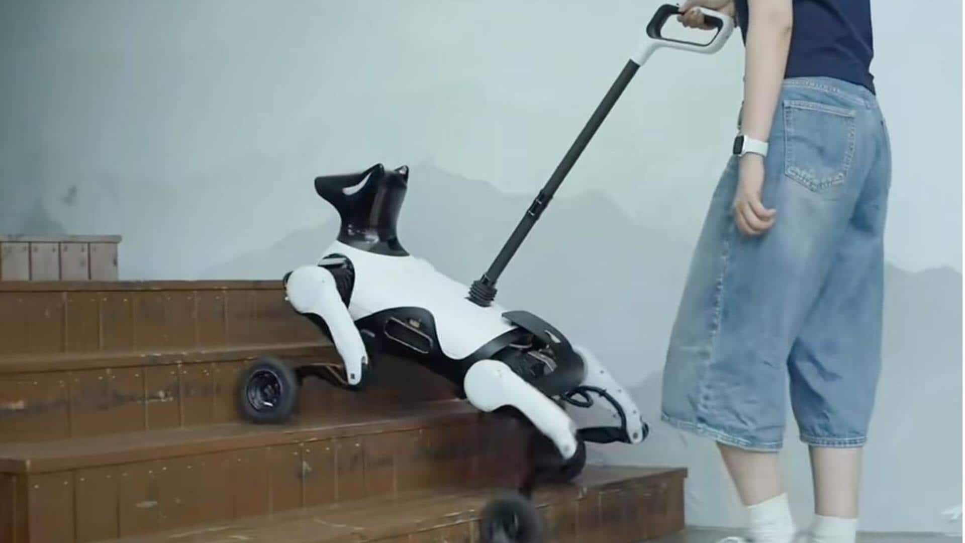 This Chinese robot dog can guide the visually impaired