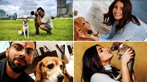 Meet Bollywood's passionate animal lovers