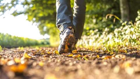 Does walking after meals help digestion?
