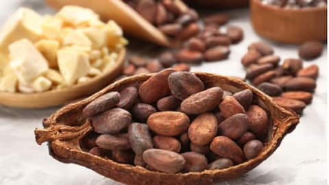 Marvelous skin benefits of cocoa butter 