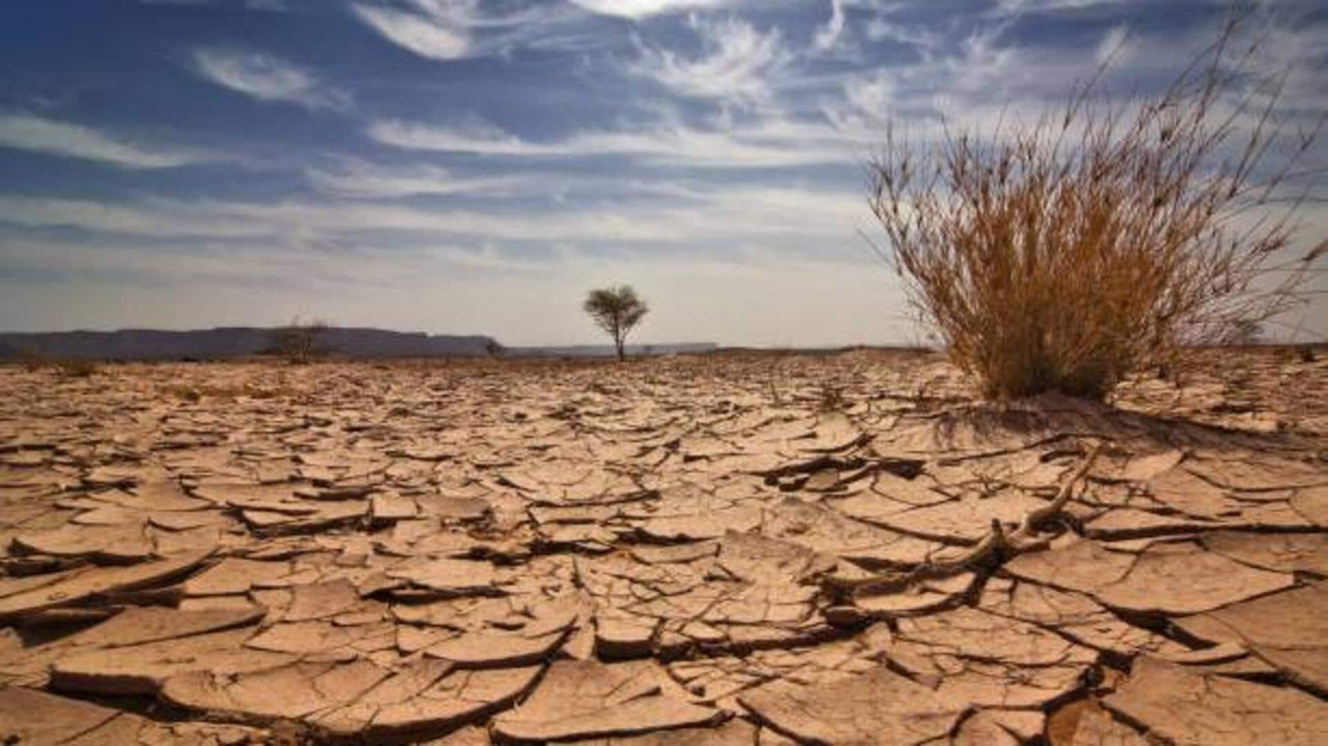 African soils: Types, importance, and challenges African soils: Types, importance, and challenges